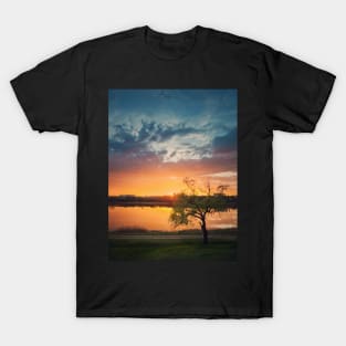 willow against sunset T-Shirt